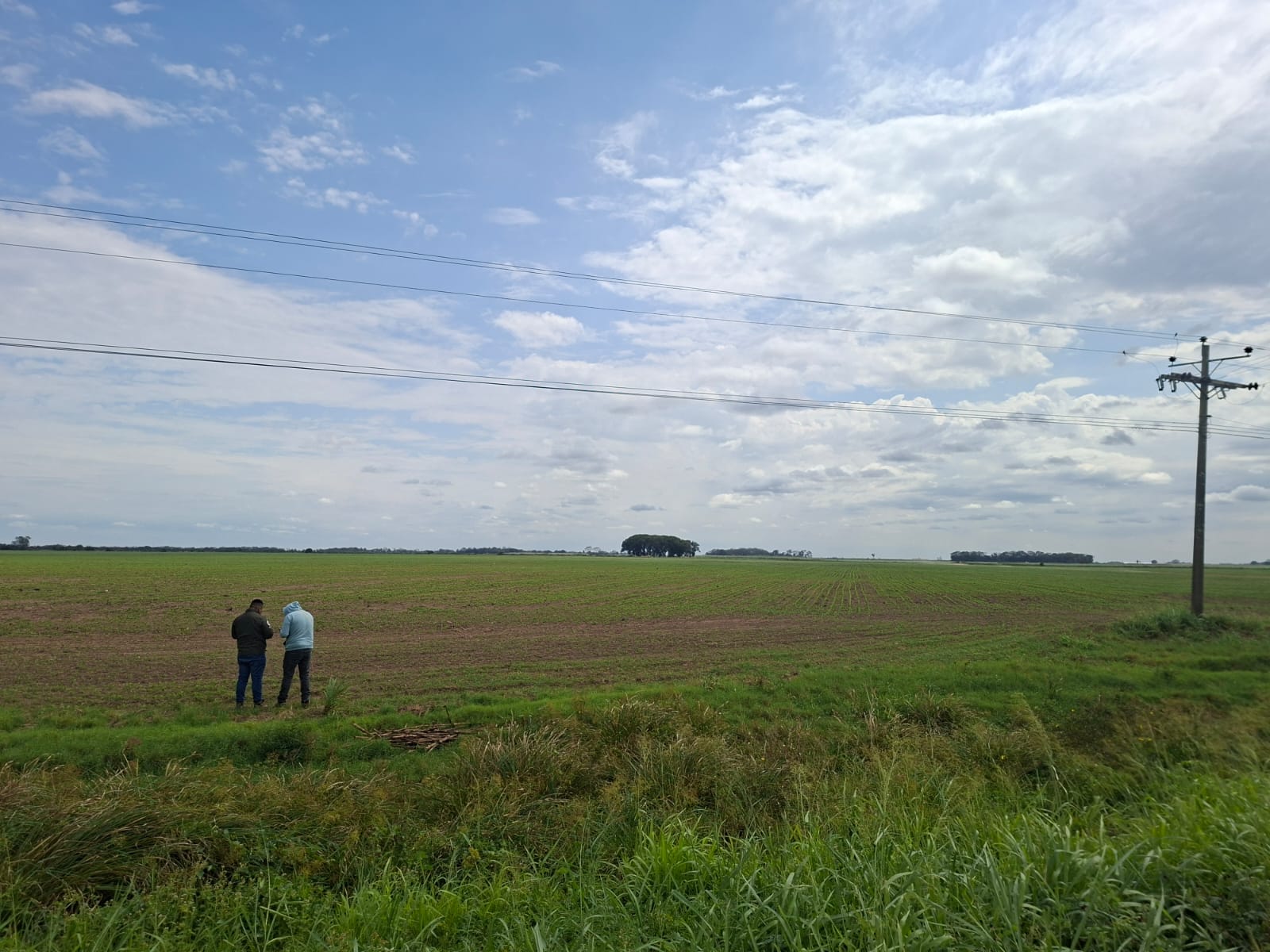Levantamiento de información agropecuaria en Santa Cruz – Municipio San Pedro