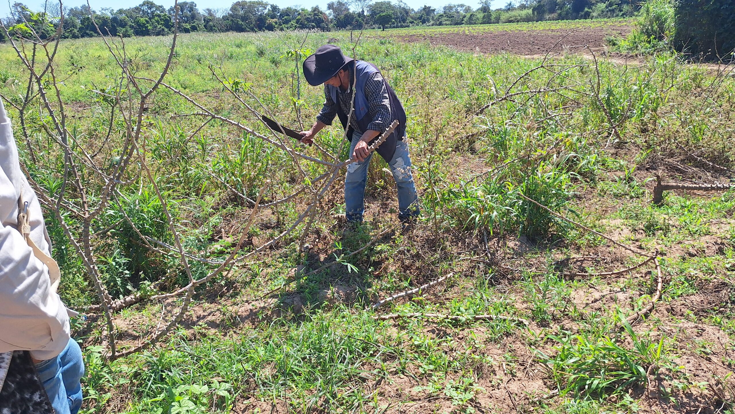 levantamiento de información agropecuaria en Santa Cruz – Municipio Cotoca