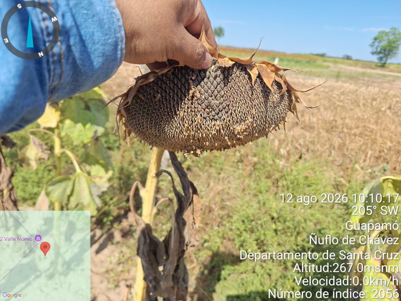 Levantamiento de información agropecuaria en Santa Cruz – Municipio San Julián