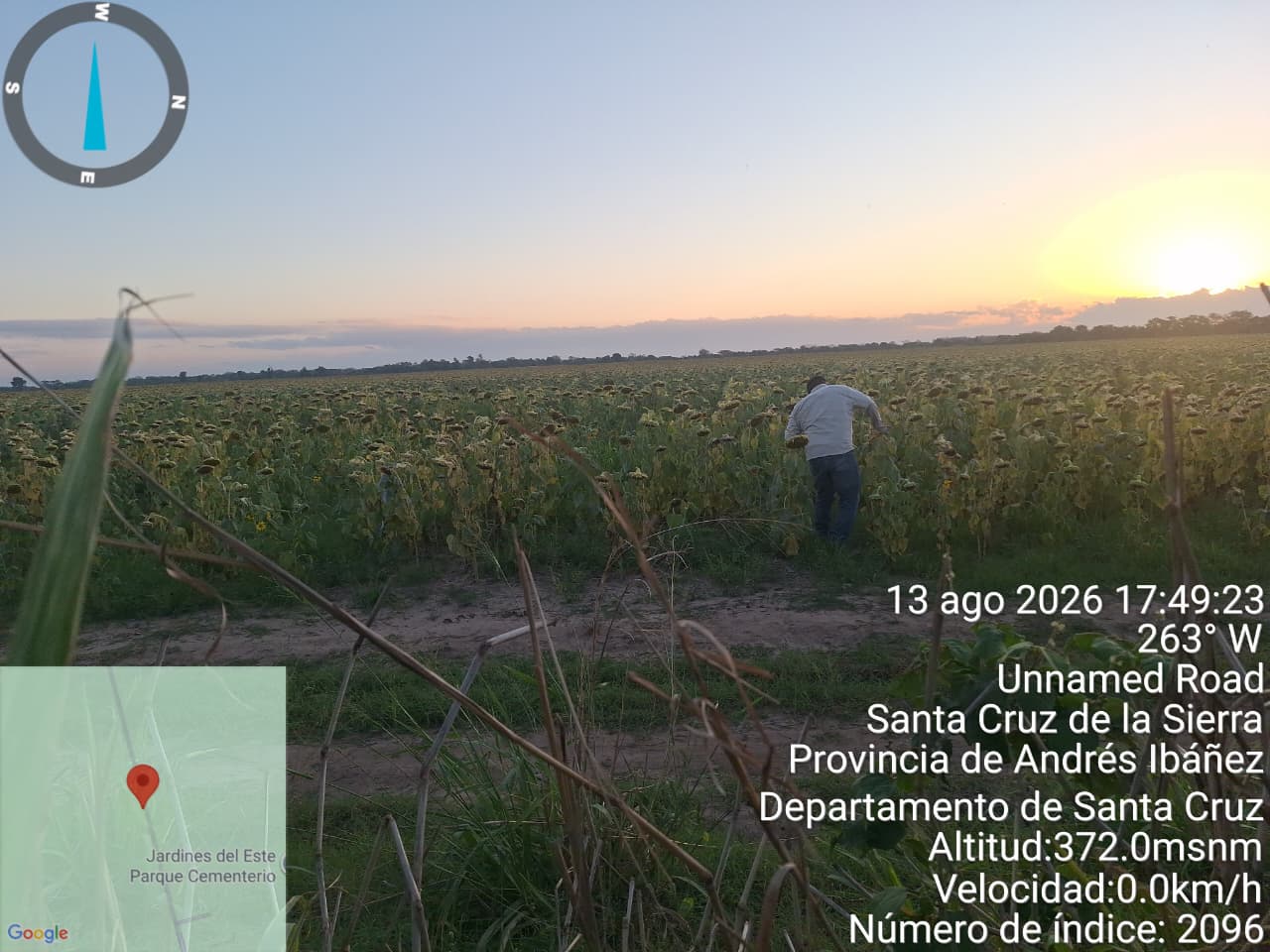 Levantamiento de información agropecuaria en Santa Cruz – Municipio Pailón Villa Rosario 2