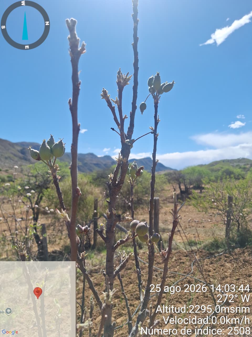 Monitoreo y levantamiento de datos geoespaciales y agropecuarios en el Municipio de Tomina